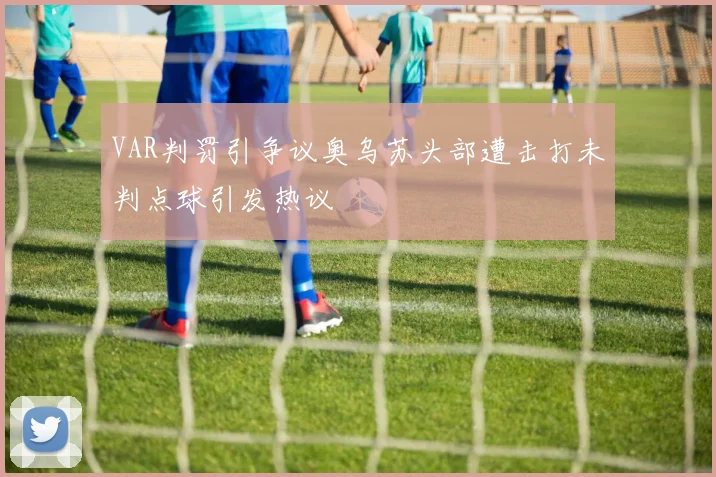 VAR判罚引争议奥乌苏头部遭击打未判点球引发热议