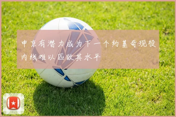 申京有潜力成为下一个约基奇现役内线难以匹敌其水平