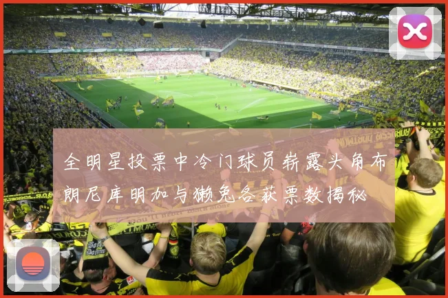 全明星投票中冷门球员崭露头角布朗尼库明加与獭兔各获票数揭秘